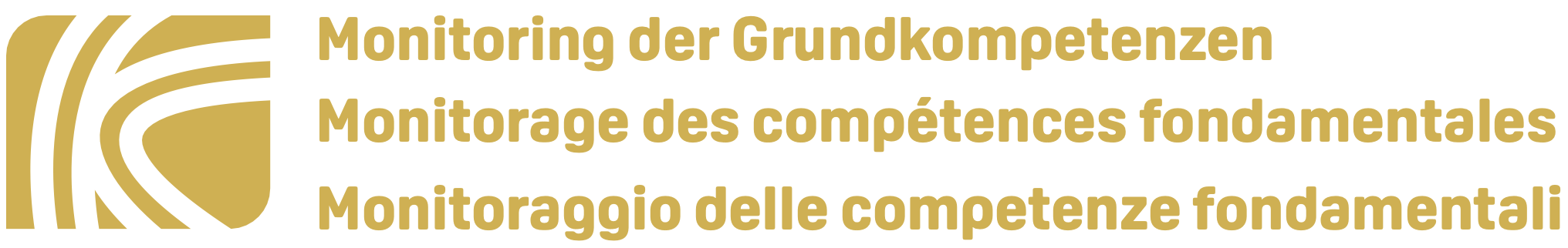 Monitoring der Grundkompetenzen